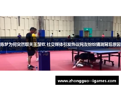 陈梦为何突然取关王楚钦 社交媒体引发热议网友纷纷猜测背后原因