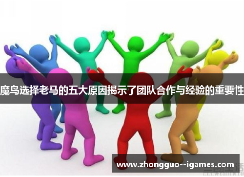 魔鸟选择老马的五大原因揭示了团队合作与经验的重要性